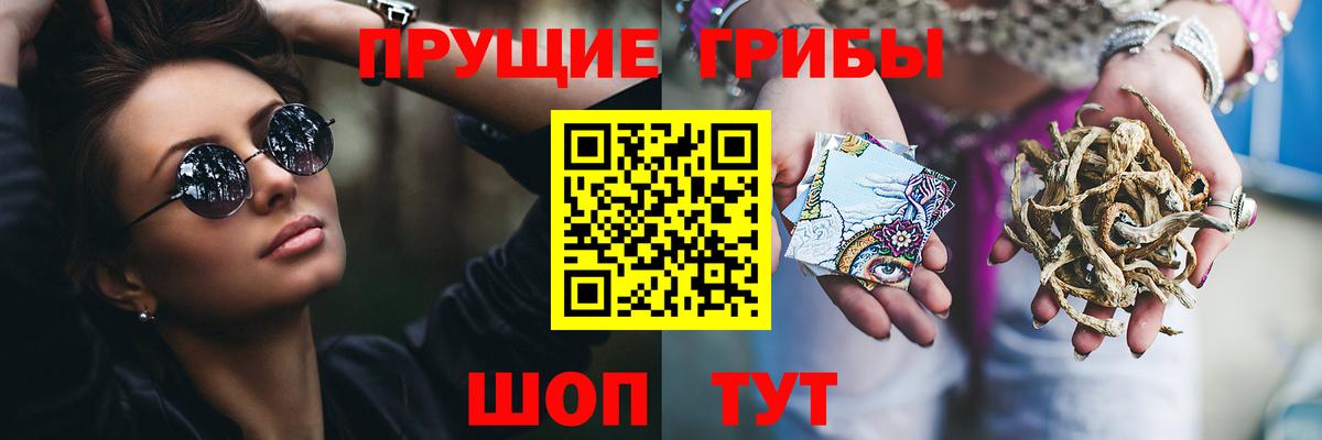 Тихвин  Галлюциногенные грибы мицелий  Вход с VPN  Галлюциногенные грибы Magic Shrooms 
